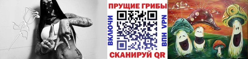 Галлюциногенные грибы Psilocybe  Дмитровск 